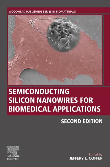 Semiconducting Silicon Nanowires for Biomedical Applications - 