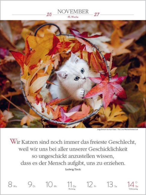 InsideView 12