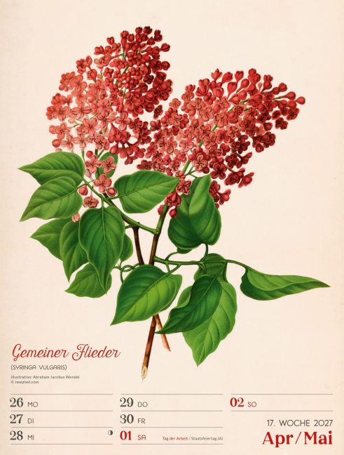 InsideView 21
