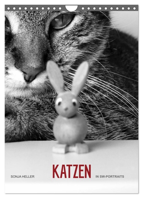 Sonja Heller Katzen in SW-Portraits (Wandkalender 2026 DIN A4 hoch), CALVENDO Monatskalender - Sonja Heller