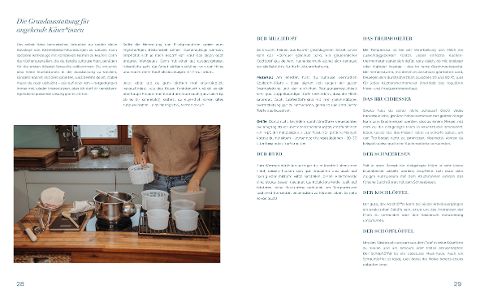 InsideView 5