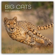 Cover-Bild zum Titel 'Big Cats - Raubkatzen - Löwen Tiger Geparden Leoparden 2026 - 16-Monatskalender' von 'The Gifted'
