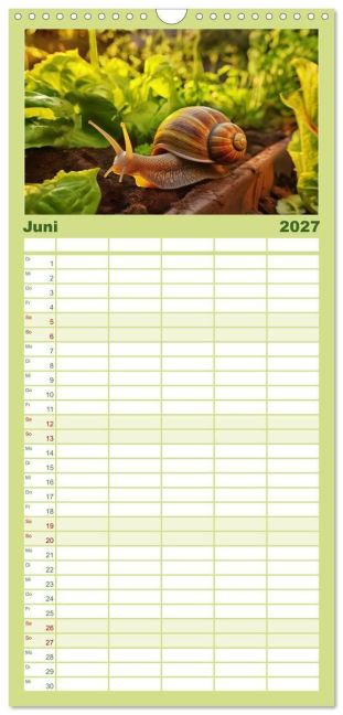 InsideView 11