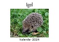Igel (Wandkalender 2024, Kalender DIN A4 quer, Monatskalender im Querformat mit Kalendarium, Das perfekte Geschenk) - Anna Müller