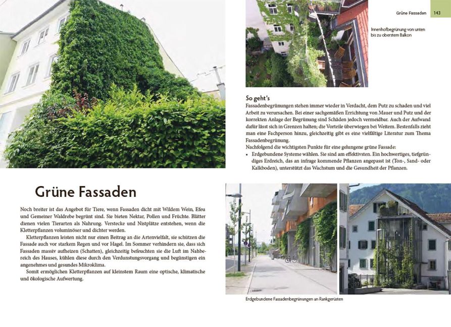 InsideView 4