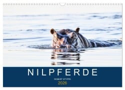 Nilpferde, Kolosse in Afrika (Wandkalender 2026 DIN A3 quer), CALVENDO Monatskalender - Robert Styppa