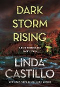 Cover-Bild zum Titel 'Dark Storm Rising' von 'Linda Castillo'