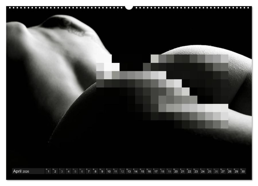 InsideView 8