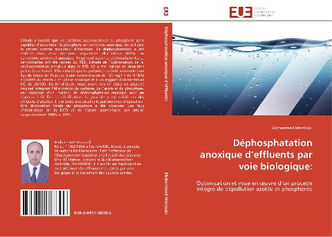 Déphosphatation anoxique d¿effluents par voie biologique: - Mohammed Merzouki