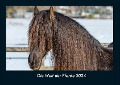 Die Welt der Pferde 2024 Fotokalender DIN A4 - Tobias Becker