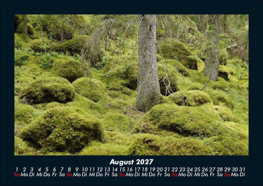 InsideView 12