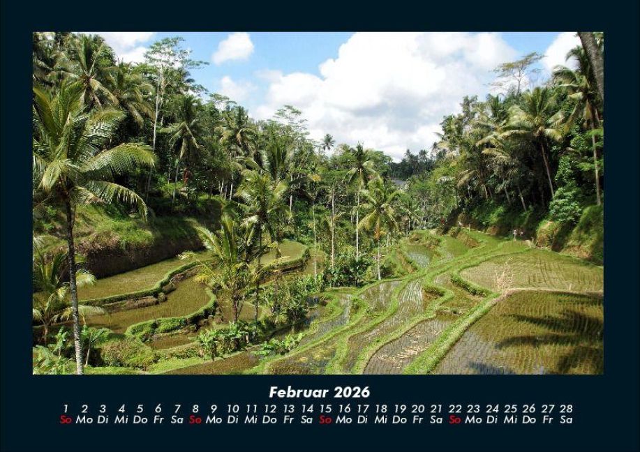 InsideView 6