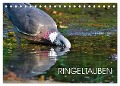 Ringeltauben (Tischkalender 2024 DIN A5 quer), CALVENDO Monatskalender - Anette Jäger