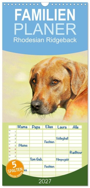 Familienplaner 2027 - Rhodesian Ridgeback 2027 mit 5 Spalten (Wandkalender, 21 x 45 cm) CALVENDO - Andrea Redecker