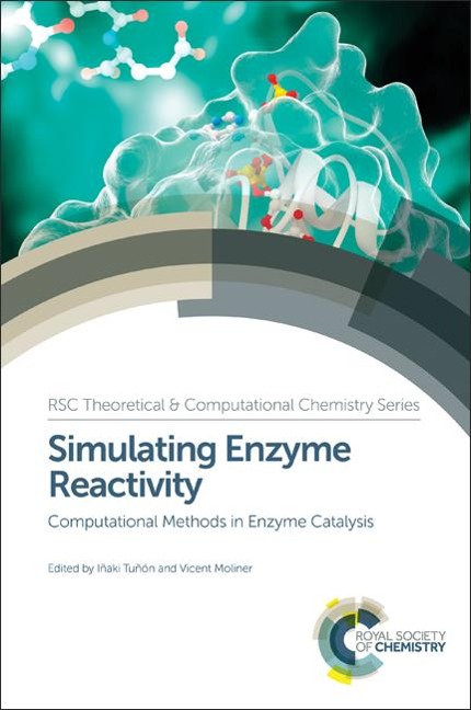 Simulating Enzyme Reactivity -