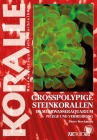 Großpolypige Steinkorallen
