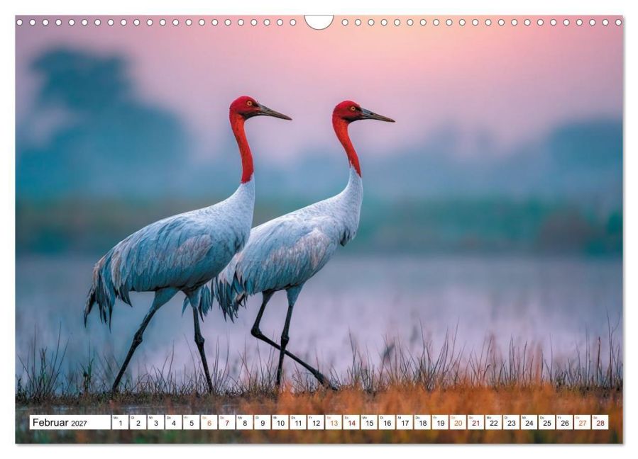 InsideView 7