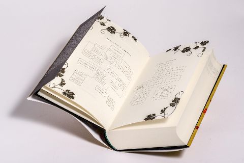 InsideView 7