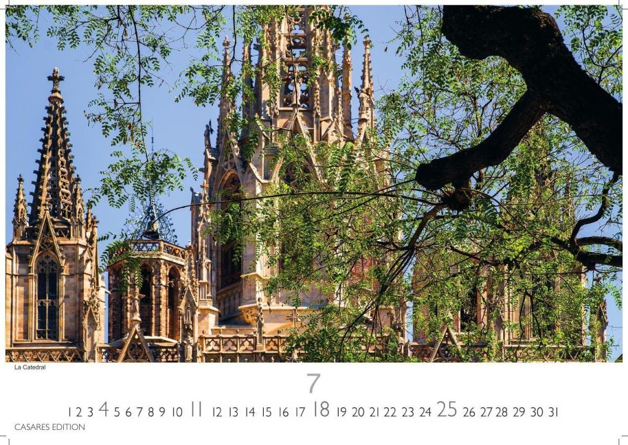 InsideView 7