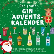 Cover-Bild zum Titel 'Der große Gin-Adventskalender' von 'Bibi Hübsch'