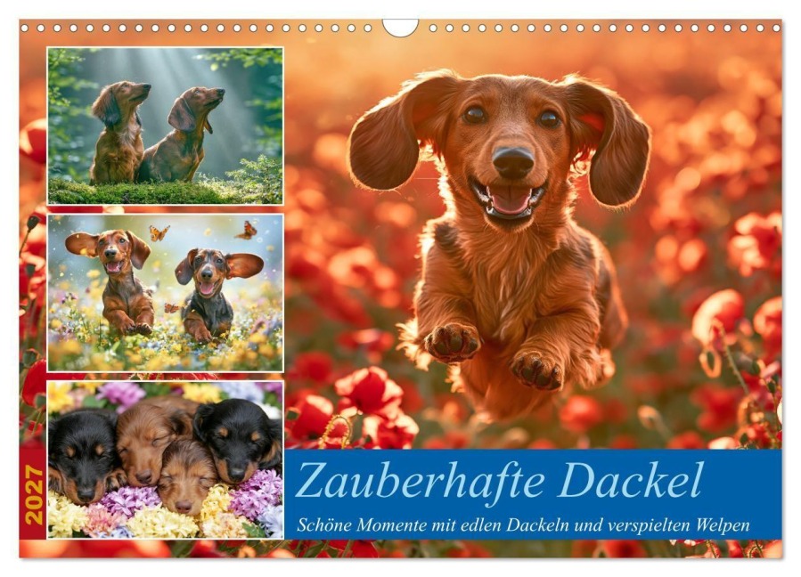 Zauberhafte Dackel (Wandkalender 2027 DIN A3 quer), CALVENDO Monatskalender - Steffen Gierok-Latniak
