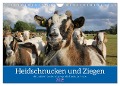 Heidschnucken und Ziegen die tierischen Landschaftspfleger der Lüneburger Heide (Wandkalender 2025 DIN A4 quer), CALVENDO Monatskalender - Sandra Lorenzen-Müller