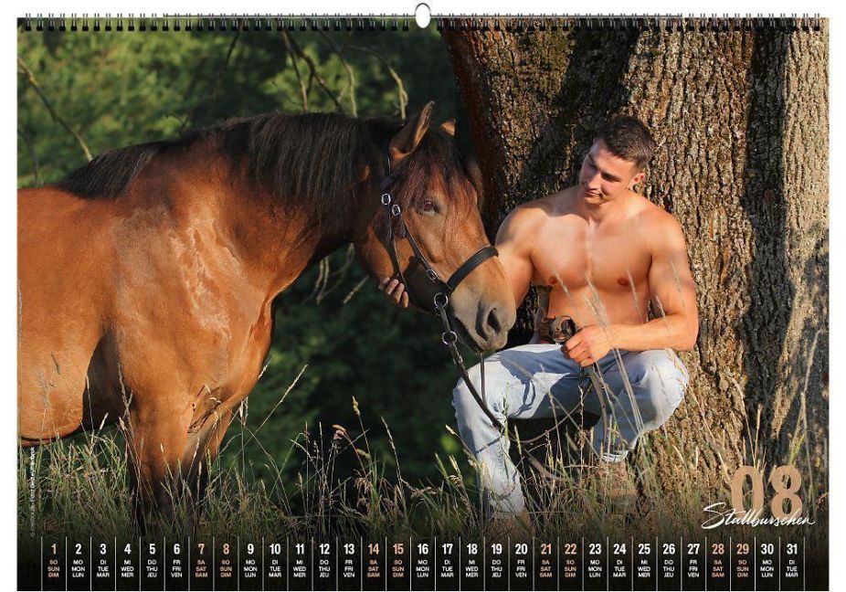 InsideView 8