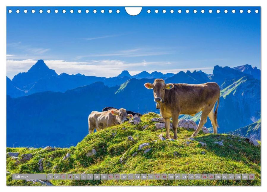 InsideView 12