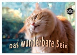 Das wunderbare Sein (Wandkalender 2025 DIN A2 quer), CALVENDO Monatskalender - Viktor Gross