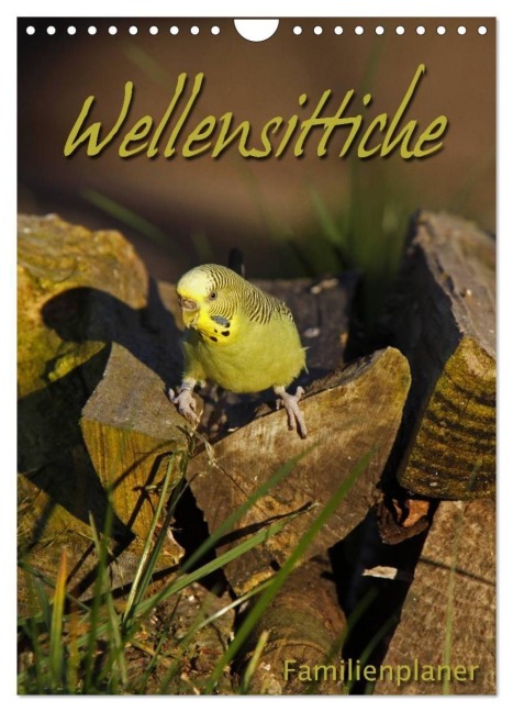 Wellensittiche (Wandkalender 2027 DIN A4 hoch), CALVENDO Monatskalender - Martina Berg