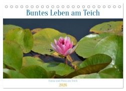Cover-Bild zum Titel 'Buntes Leben am Teich (Tischkalender 2026 DIN A5 quer), CALVENDO Monatskalender' von 'Ingrid Franz'
