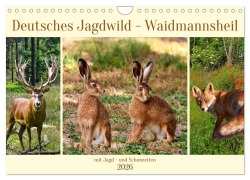 Cover-Bild zum Titel 'Deutsches Jagdwild - Waidmannsheil (Wandkalender 2026 DIN A4 quer), CALVENDO Monatskalender' von 'Claudia Kleemann'