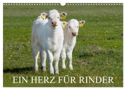 Cover-Bild zum Titel 'Ein Herz für Rinder (Wandkalender 2026 DIN A3 quer), CALVENDO Monatskalender' von 'Sigrid Starick'