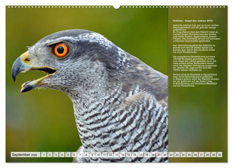 InsideView 13