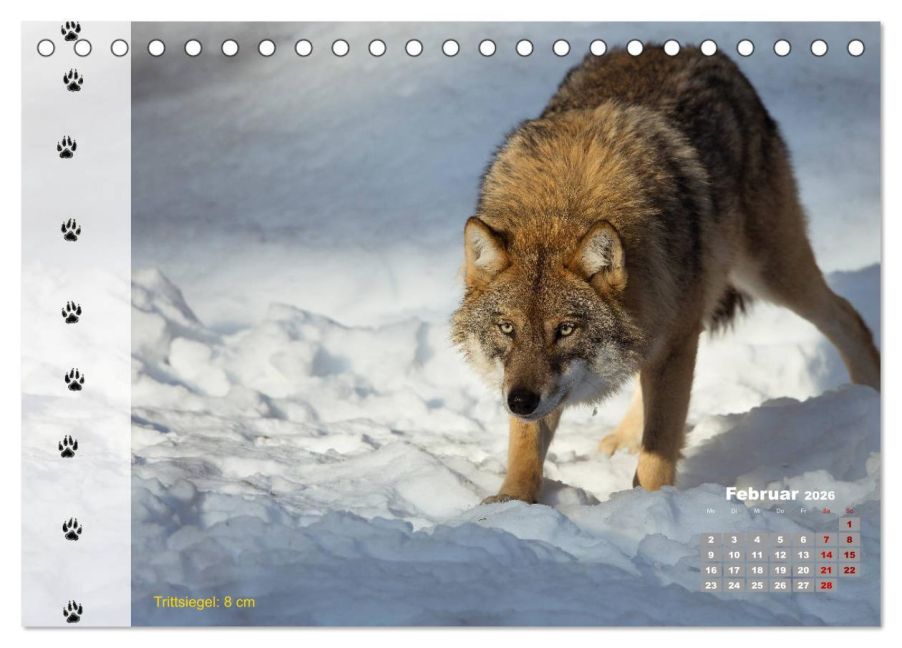 InsideView 7