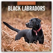 Black Labrador Retrievers - Schwarze Labrador Retriever 2026 - 16-Monatskalender - Robin Red