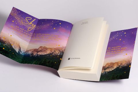 InsideView 7