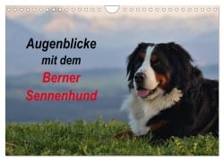 Augenblicke mit dem Berner Sennenhund (Wandkalender 2025 DIN A4 quer), CALVENDO Monatskalender - Hubert Hunscheidt