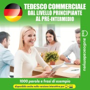 Cover-Bild zum Titel 'Tedesco commerciale' von 'Tomas Dvoracek'