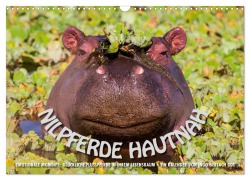 Cover-Bild zum Titel 'Emotionale Momente: Nilpferde hautnah (Wandkalender 2026 DIN A3 quer), CALVENDO Monatskalender' von 'Ingo Gerlach GDT'