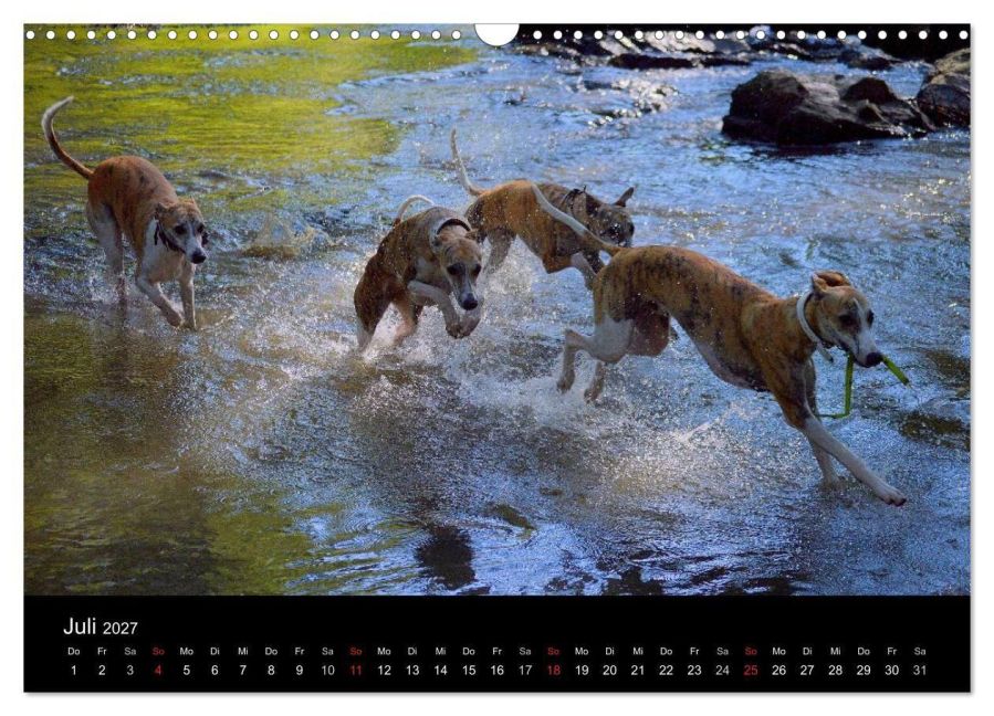 InsideView 12