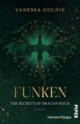 Cover-Bild zum Titel 'Funken - The Secrets of Dracon Rock' von 'Vanessa Golnik'