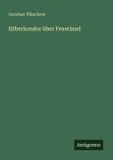 Cover-Bild zum Titel 'Silberkondor über Feuerland' von 'Gunther Plüschow'