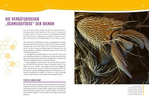 InsideView 5