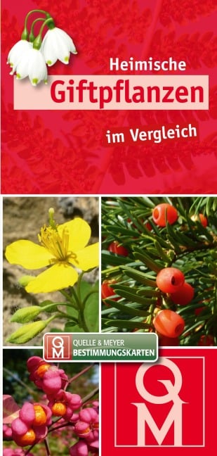 Heimische Giftpflanzen im Vergleich - 