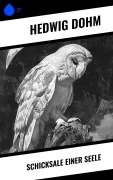 Cover-Bild zum Titel 'Schicksale einer Seele' von 'Hedwig Dohm'