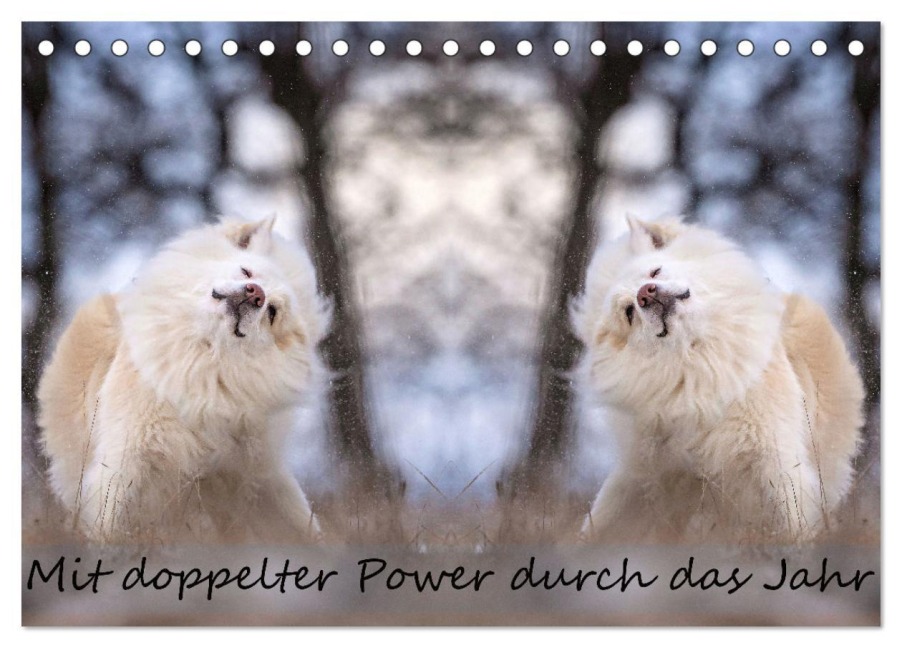 Mit doppelter Power durch das Jahr (Tischkalender 2026 DIN A5 quer), CALVENDO Monatskalender - Monika Scheurer