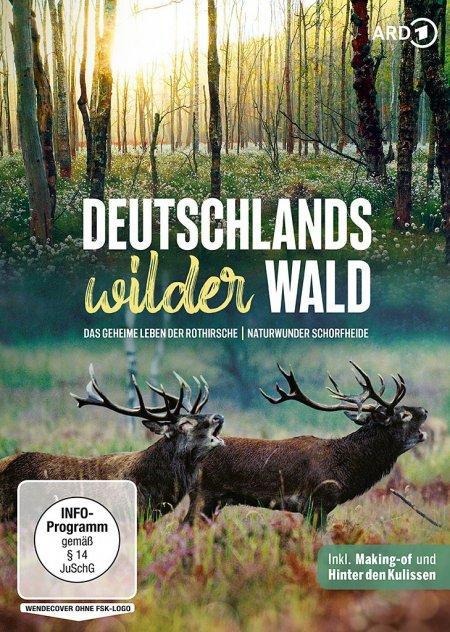 Deutschlands wilder Wald: Das geheime Leben der Rothirsche & Naturwunder Schorfheide - 