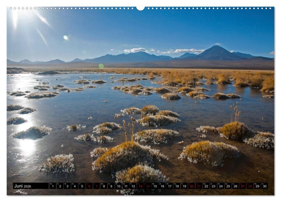 InsideView 10