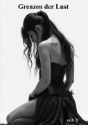 Cover-Bild zum Titel 'Grenzen der Lust' von 'B. Sub'